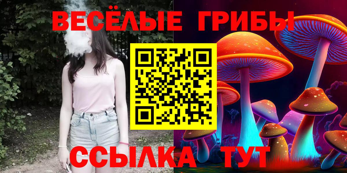 Псилоцибиновые грибы Psilocybine cubensis Туймазы